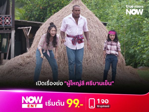 เปิดเรื่องย่อ "ผู้ใหญ่ลี ศรีบานเย็น"