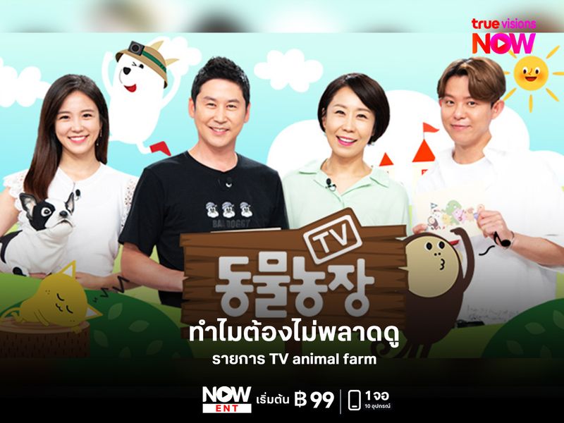 ทำไมต้องไม่พลาดดู TV animal farm? 
