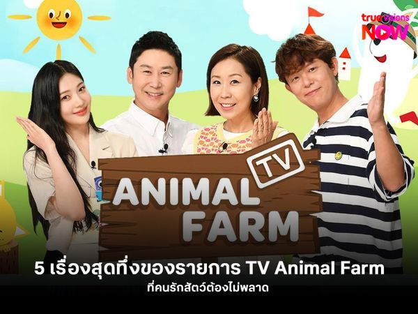 5 เรื่องสุดทึ่งของรายการ TV Animal Farm ที่คนรักสัตว์ต้องไม่พลาด 