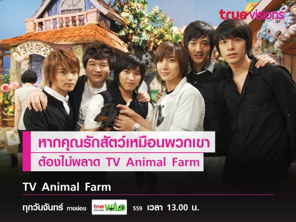 หากคุณรักสัตว์เหมือนพวกเขา! ต้องไม่พลาด TV Animal Farm