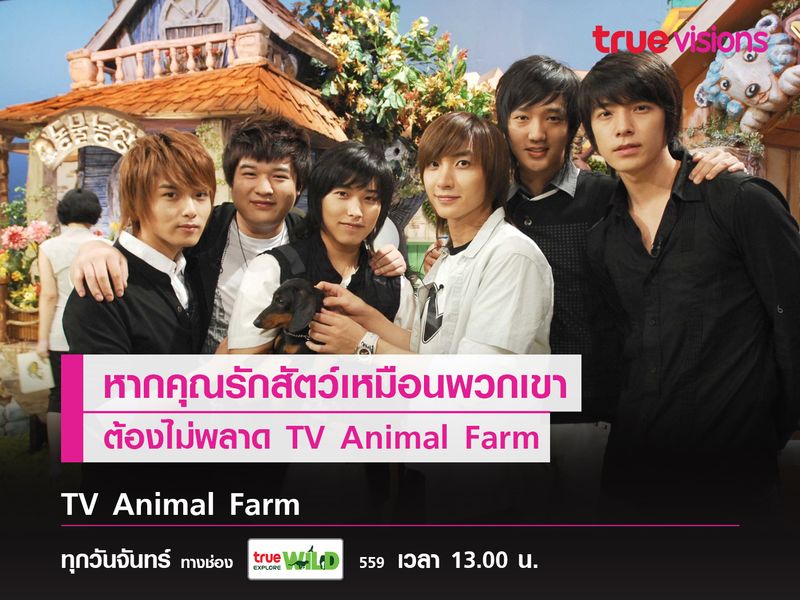 หากคุณรักสัตว์เหมือนพวกเขา! ต้องไม่พลาด TV Animal Farm