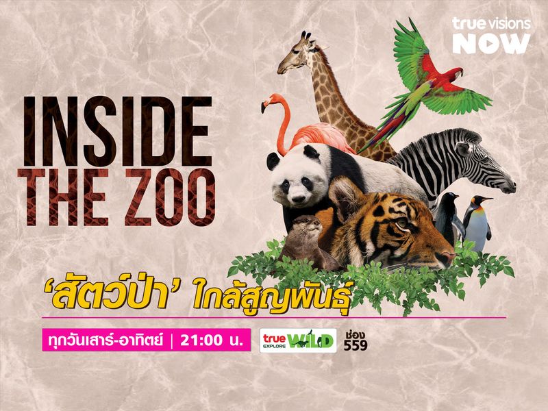 Inside the Zoo [2] ถ้าเราช่วยกัน สัตว์ป่า สัตว์หายากจะไม่สูญพันธุ์