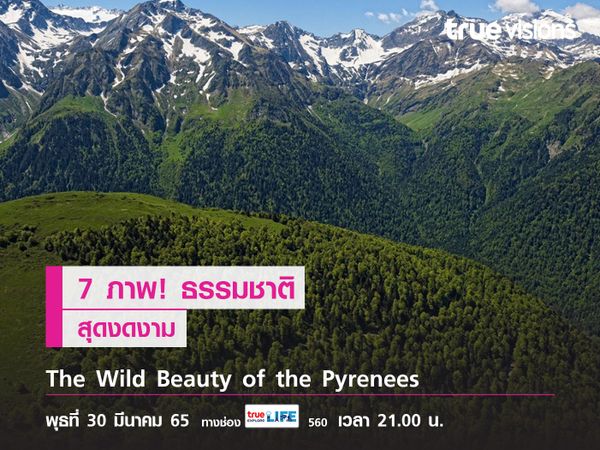 7 ภาพ! ธรรมชาติสุดงดงาม ใน The Wild Beauty of the Pyrenees
