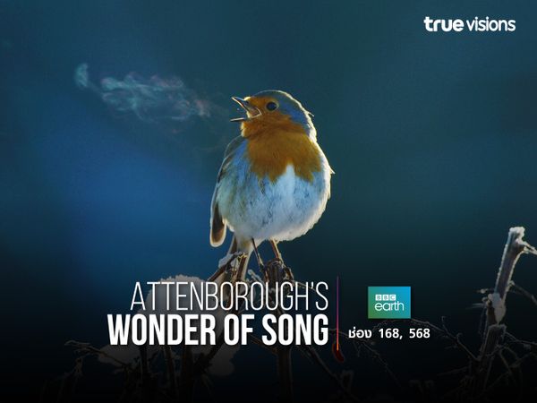 Attenborough’s Wonder of Song