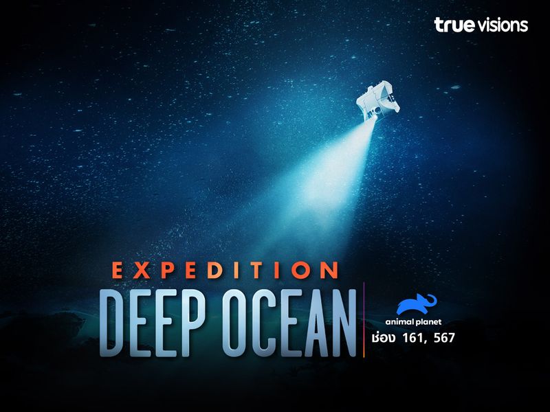 Expedition Deep Ocean