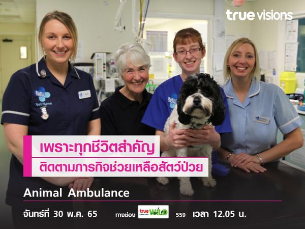 "Animal Ambulance" เพราะทุกชีวิตสำคัญ... ติดตามภารกิจช่วยเหลือสัตว์ป่วย