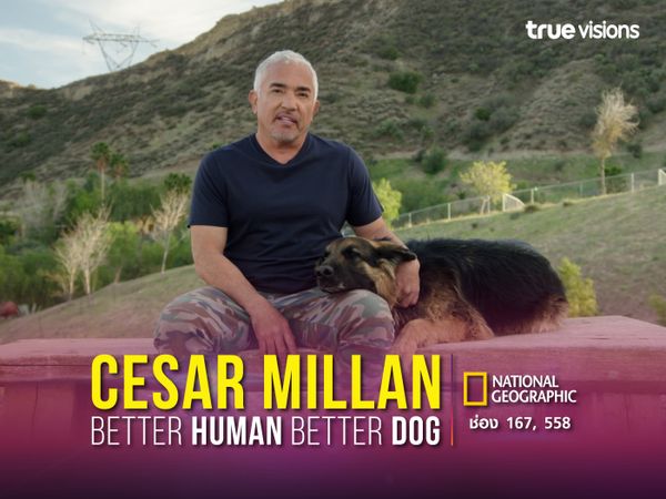 Cesar Millan: Better Human Better Dog Season 2