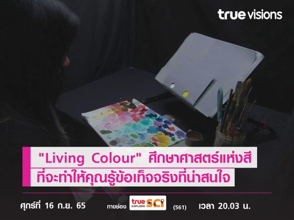 "Living Colour" ศึกษาศาสตร์แห่งสี... ที่จะทำให้คุณรู้ข้อเท็จจริงที่น่าสนใจ