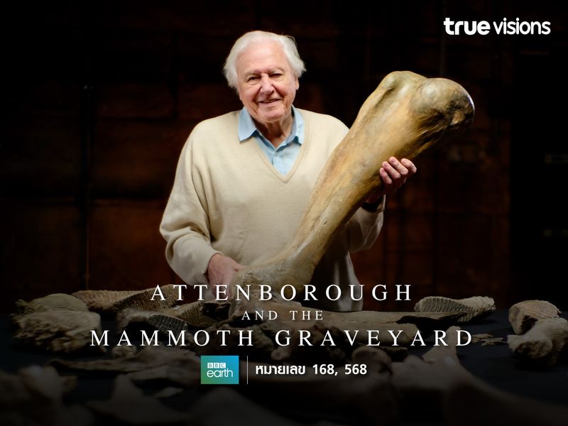 Attenborough and the Mammoth Graveyard