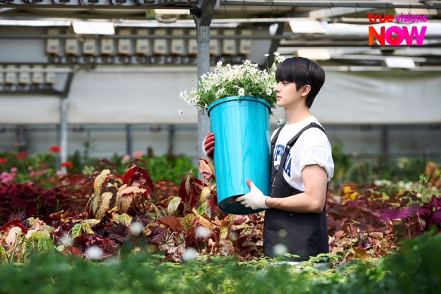 Kim Min kyu Love Take Two